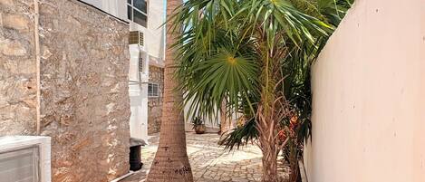 المنطقة المحيطة بالمنشأة