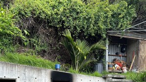 A concrete outdoor area with a picnic table, a small fire pit, and a wooden structure in the background. - 'The Dogbox' Architectural home in Central Whanganui. (Whanganui)