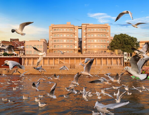 A waterfront building with multiple balconies and a large tree. - Avantika By The Ganges, IHCL Seleqtions (Varanasi)