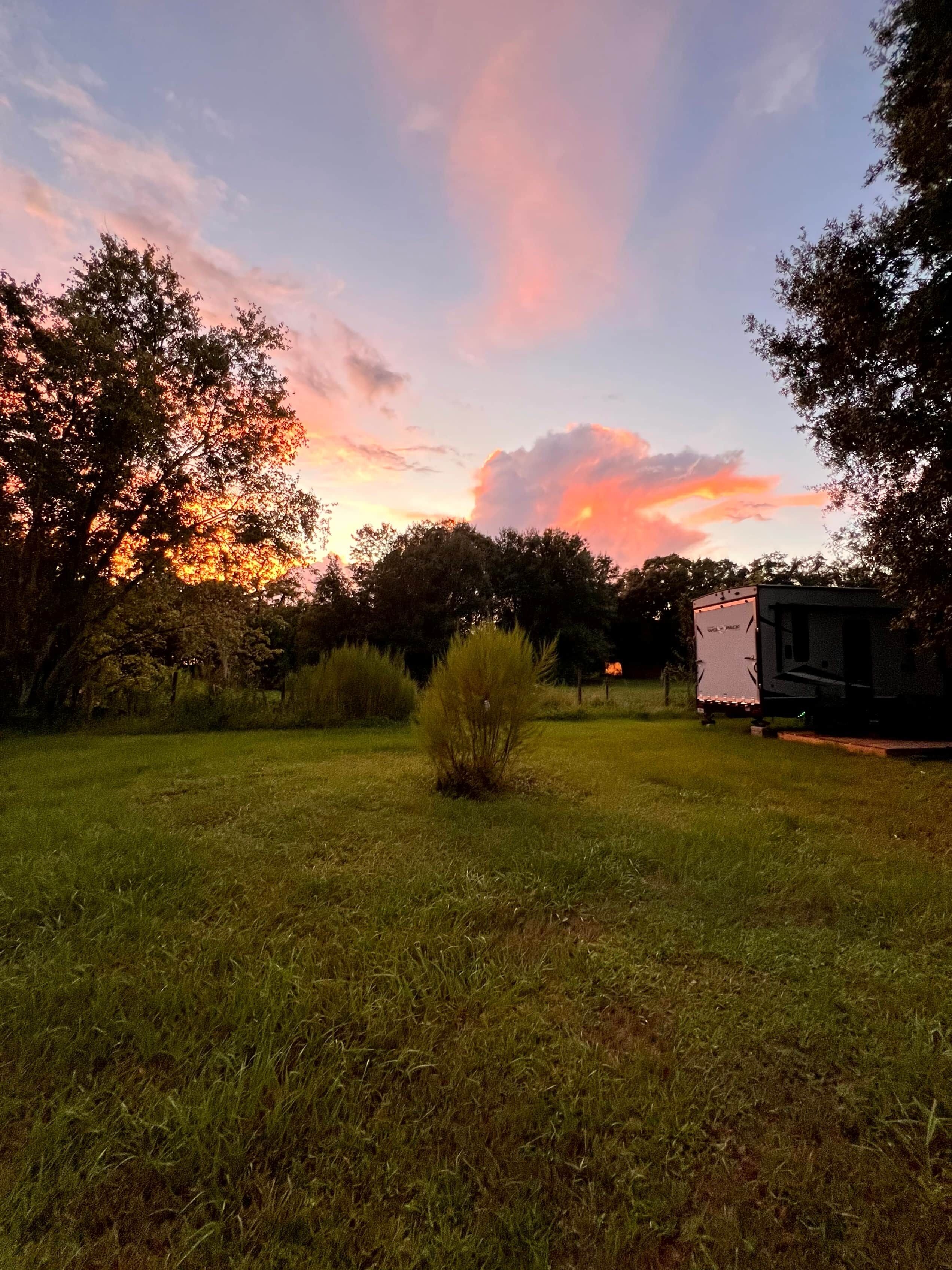 A grassy field with trees and a white trailer.