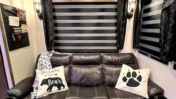 Smart TV, fireplace, books