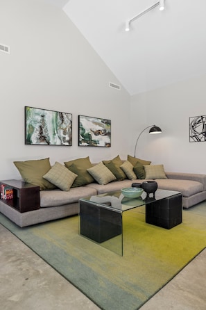 Smart TV, fireplace, books