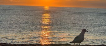 Ocean Views! 4+ bedrooms! Family Friendly! Plum Island!