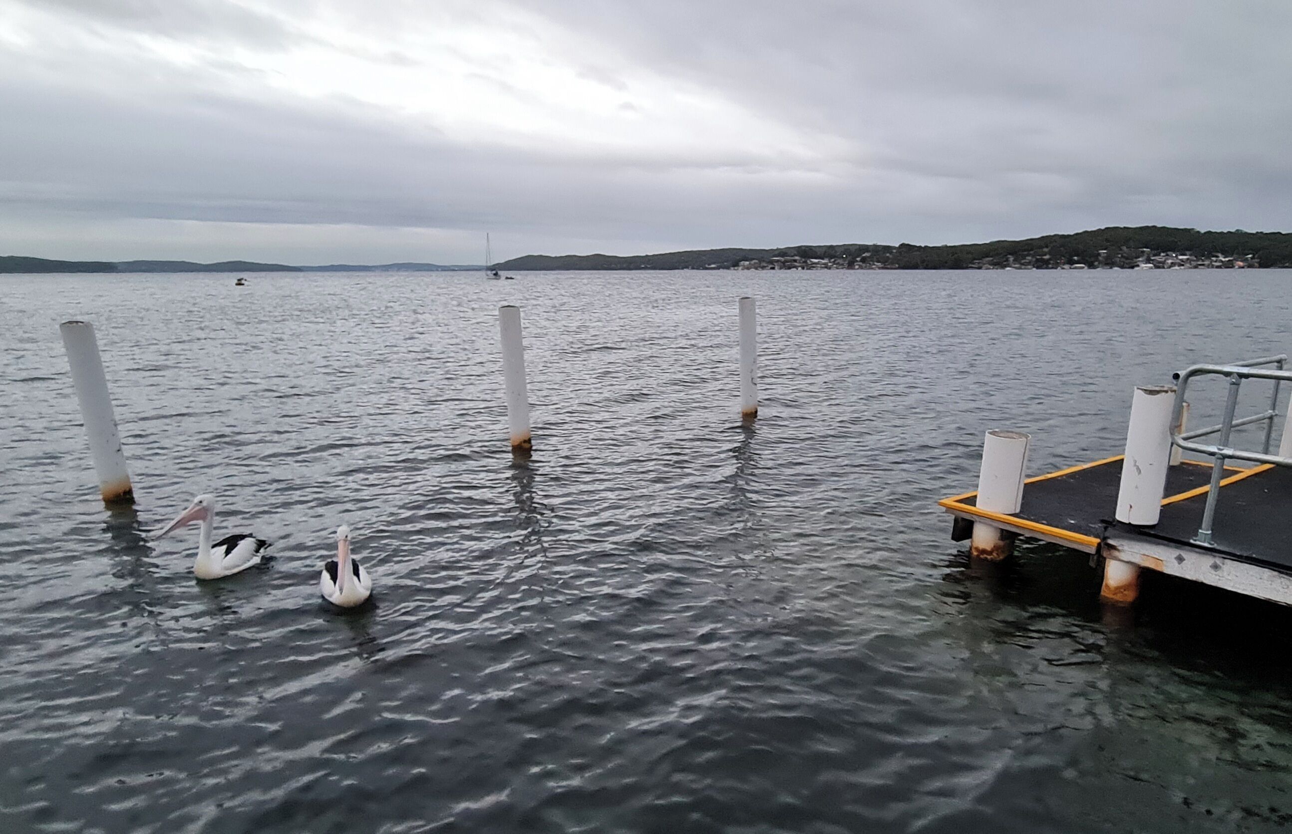 Ein ruhiger See mit einer anlegenden Plattform.