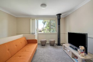 Smart-TV, Kamin, Videospiele, Bücher