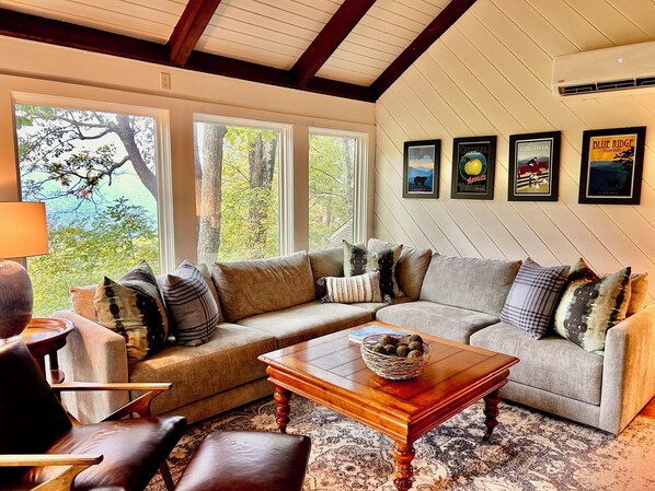 Smart TV, DVD player, books, computer monitors