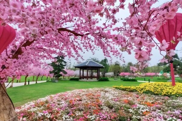 Khuôn viên nơi lưu trú