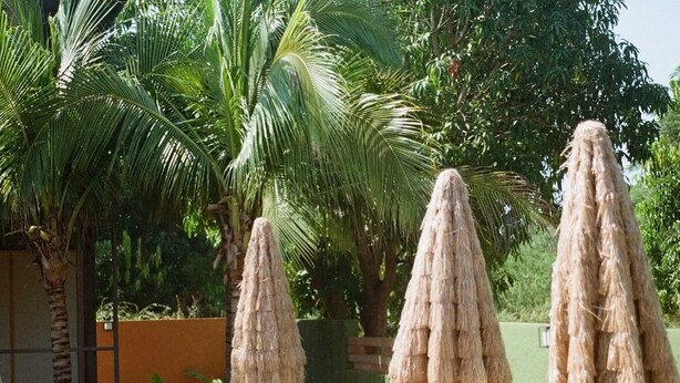 A poolside area with lounge chairs and umbrellas. - Elvis Surf Shack at Casa Akaw: a perfect retreat in a sustainable residence (Playa La Saladita)