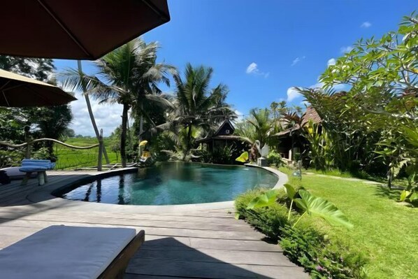 Un espace piscine doté d’une terrasse en bois, de chaises longues et d’une végétation tropicale.
