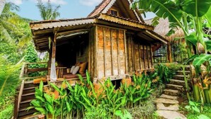 A rustic wooden house with a porch, surrounded by lush tropical vegetation.