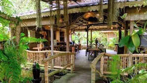 A wooden structure with a covered walkway, surrounded by lush greenery.