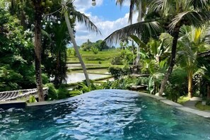 Une piscine entourée d’une végétation luxuriante et de palmiers.
