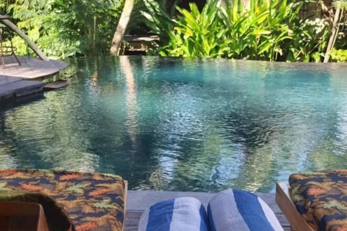 Une piscine offrant une vue sur une végétation luxuriante et un espace détente agrémenté de coussins à motifs.