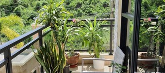 Cool 2-bedroom apartment with AC in Stony Hill
