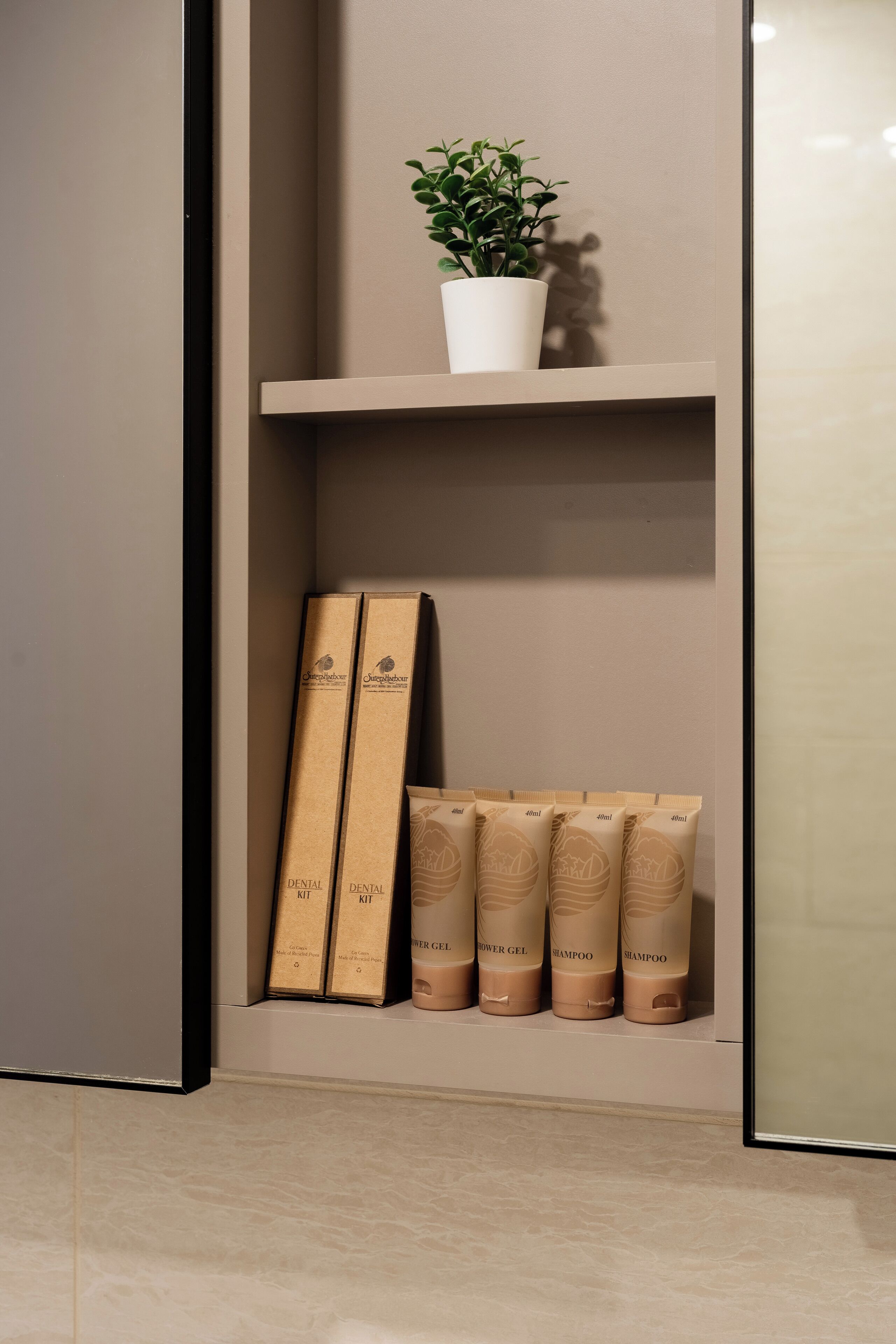 A shelf with a potted plant, two cardboard boxes, and four toiletry bags.