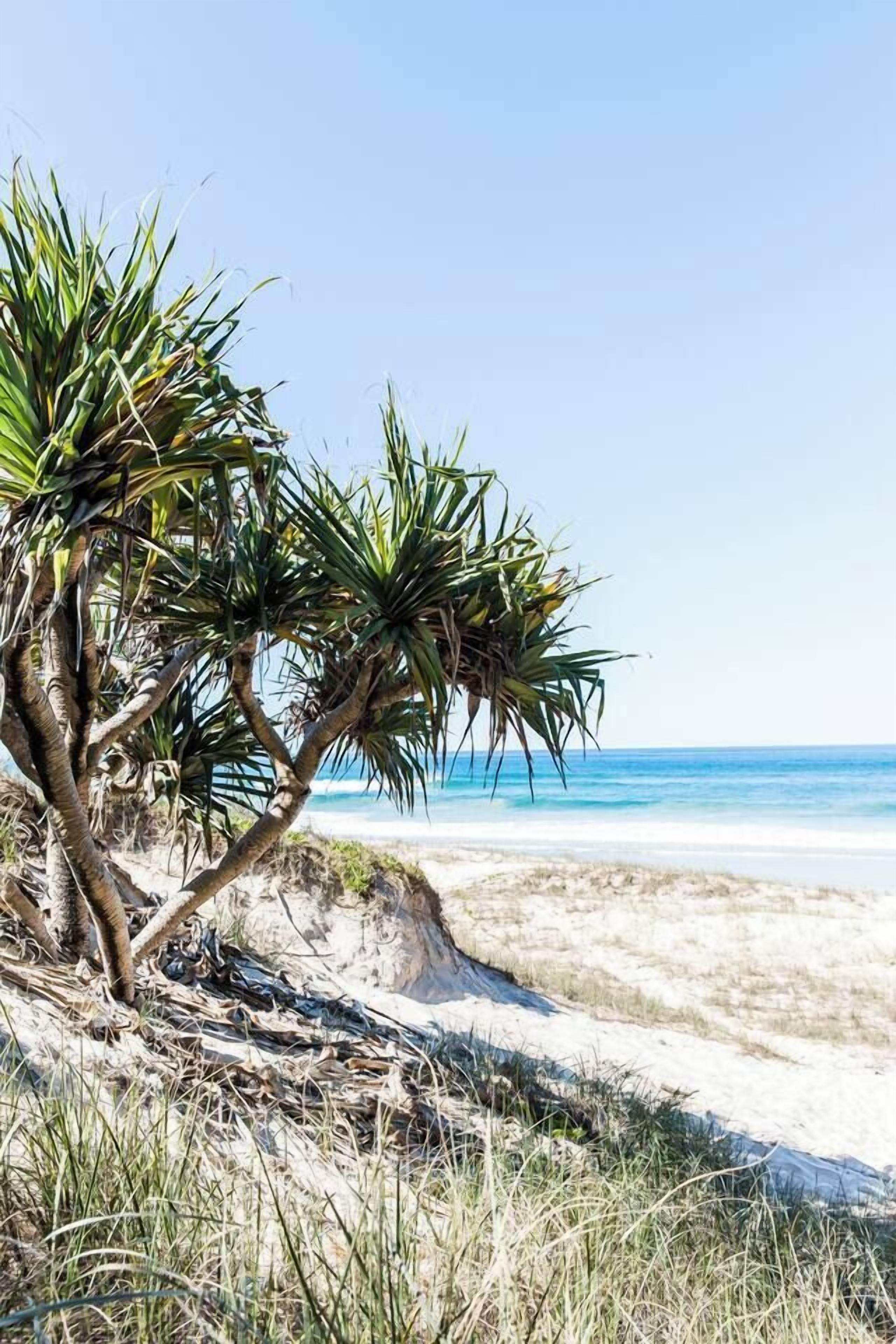 Plage à proximité, chaises longues, serviettes de plage