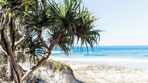 Una playa con una palmera y cielo azul despejado.