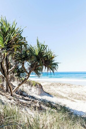 On the beach, sun-loungers, beach towels