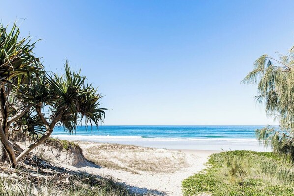 On the beach, sun-loungers, beach towels