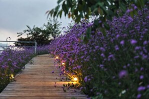 Garden - Raisuayang (Mae Rim)