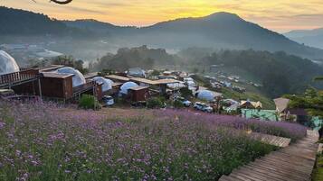 สวน