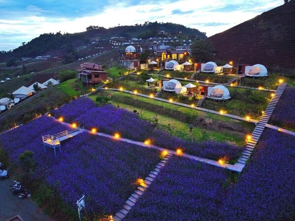 Aerial view - Raisuayang (Mae Rim)