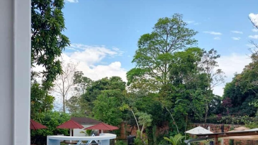 CORDILLERA AZUL TARAPOTO