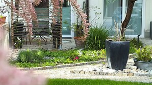 Un jardin où l’on trouve une grande variété de plantes et un arbre aux fleurs roses.