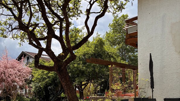 Un espace patio agrémenté d’une pergola, de meubles pour s’asseoir à l’extérieur et d’un jardin où poussent différentes plantes et fleurs.