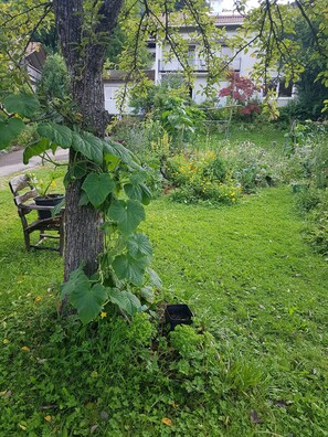 Ulkoalueet