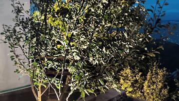 Comfort Tent, 1 Double Bed, Valley View | Iron/ironing board, rollaway beds, free WiFi, bed sheets