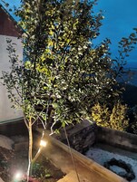 Tabla de planchar con plancha y camas plegables/adicionales 