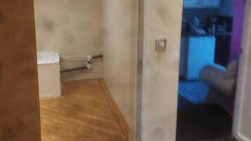 Studio, 1 Bedroom, Accessible, Smoking | Bathroom shower