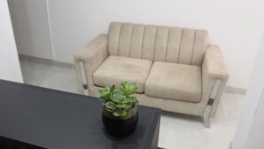 Una planta pequeña en maceta sobre una mesa negra en una habitación con un sofá color beige.