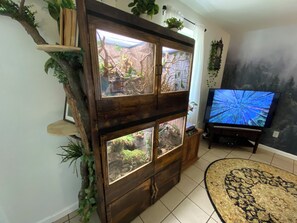 Interior - Crow's Nest Cottage (Cumming)
