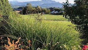 Un paysage rural avec un champ, des arbres et une chaîne de montagnes en arrière-plan.
