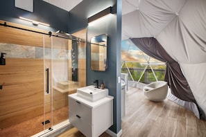 Shower, hair dryer, bidet, towels