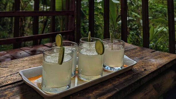 Et træbord med tre glas en lysegul drik, pyntet med lime, på et fad.