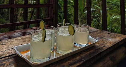 Nirjon Nature's Hideout