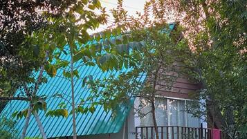 Een huis met een blauw golfblikken dak, omringd door weelderig groen en bloeiende planten.