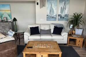 TV, fireplace, books