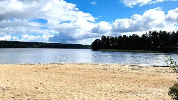 Une plage avec un rivage sablonneux et un lac paisible.