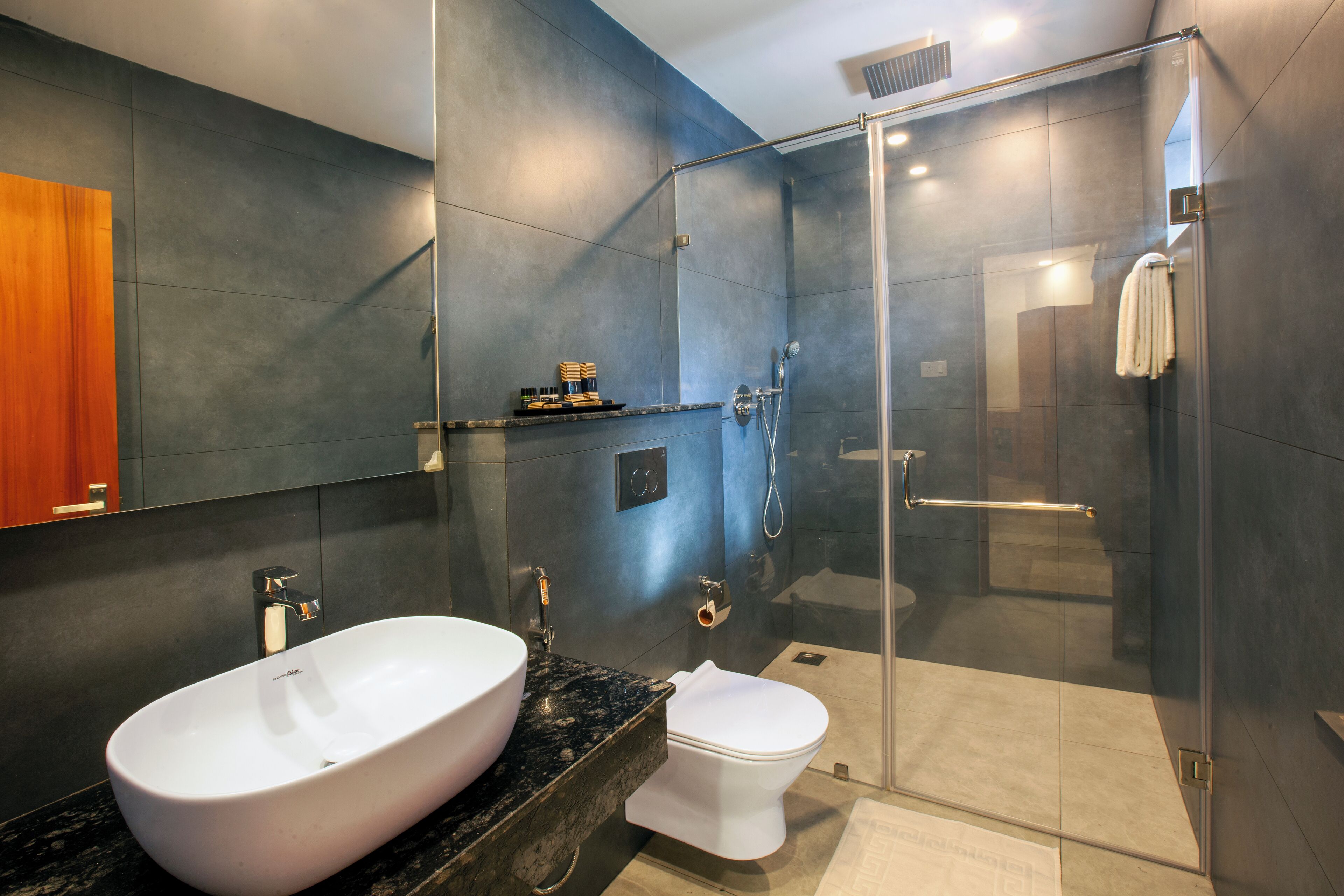 A modern bathroom with a large white sink, a toilet, and a glass-enclosed shower area.