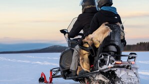 A snowmobile with two riders and a dog, set against a snowy landscape with distant hills. - Ice and light village (Luleå)