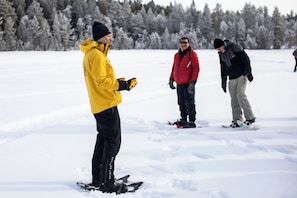 Snowshoeing - Ice and light village (Luleå)