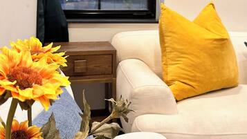 Smart TV, libros y monitor de computadora