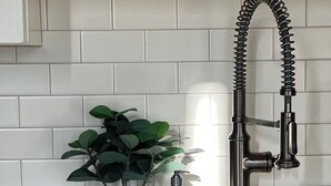 A kitchen sink with a modern faucet, a soap dispenser, and a potted plant.