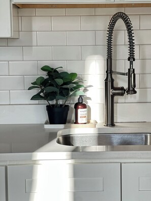 A kitchen sink with a modern faucet, a soap dispenser, and a potted plant.