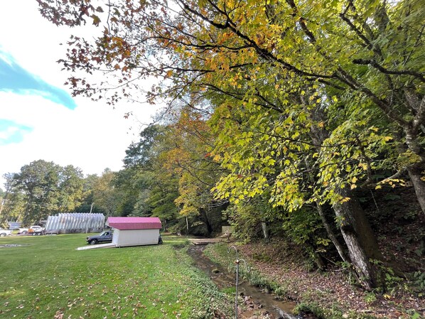 A grassy area with a small building, a stream, and trees with autumn leaves.