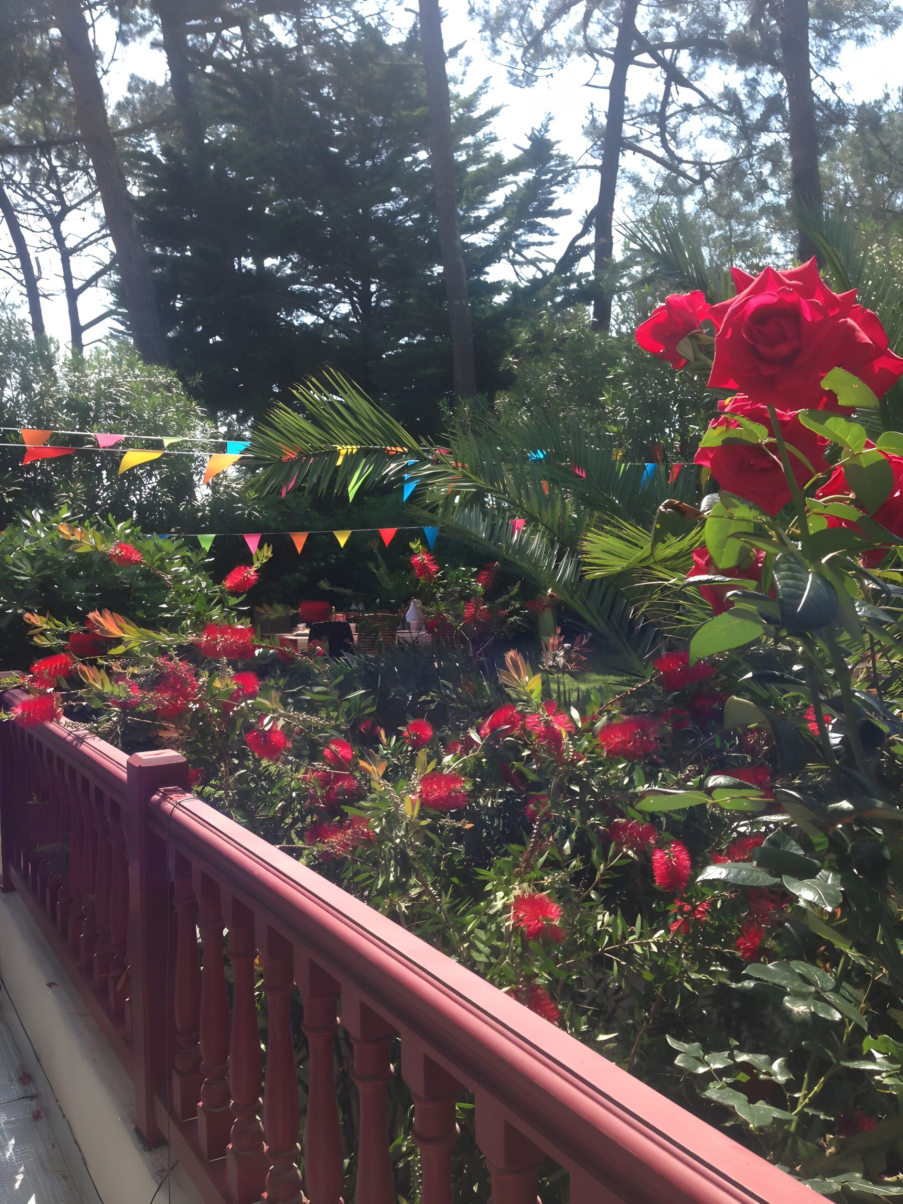 Áreas de la propiedad